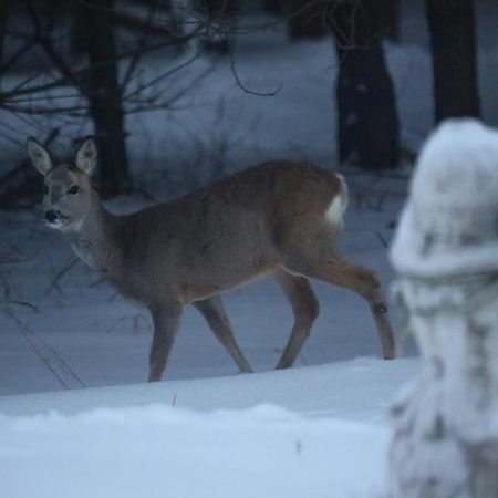 Kompleks Male Dolomity Hucisko  المظهر الخارجي الصورة