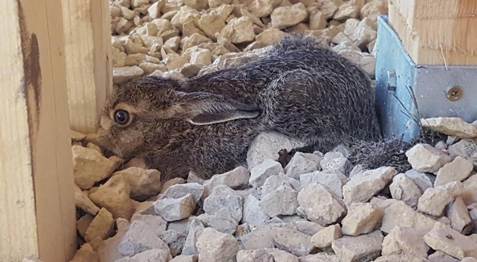 Kompleks Male Dolomity Hucisko  المظهر الخارجي الصورة